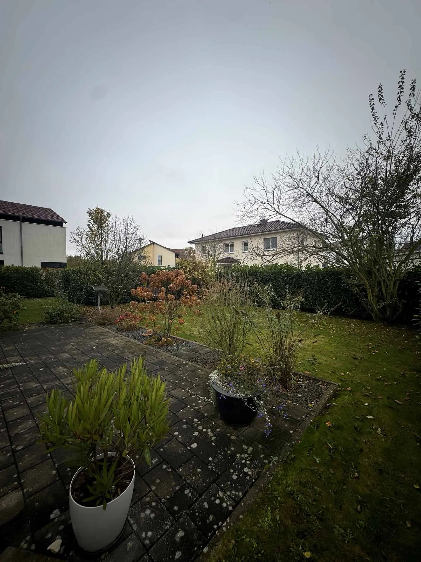 Angebote - image pfeil-runter on https://mktf-immobilien.de